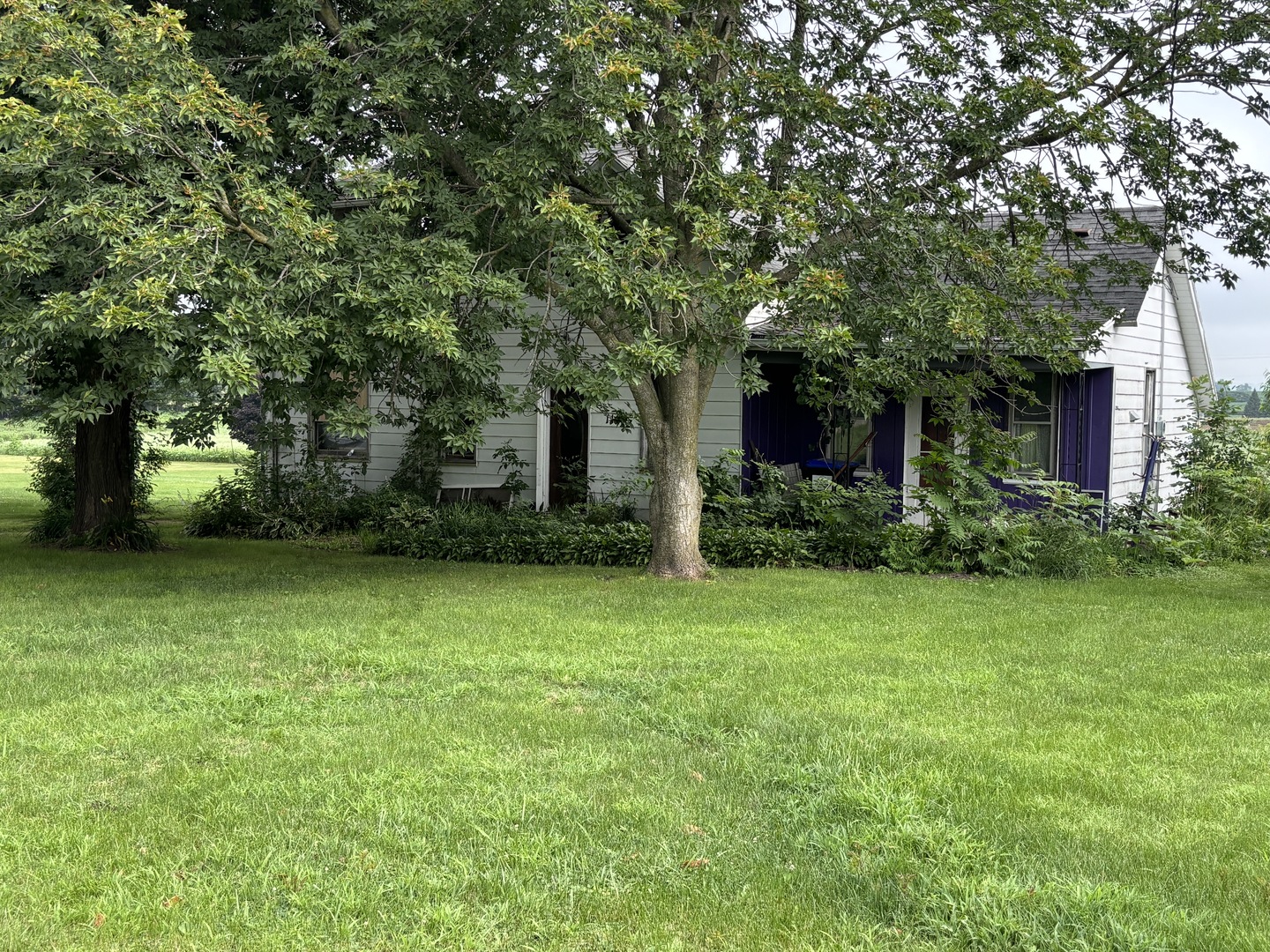 118 O'brian Street Property Photo 2