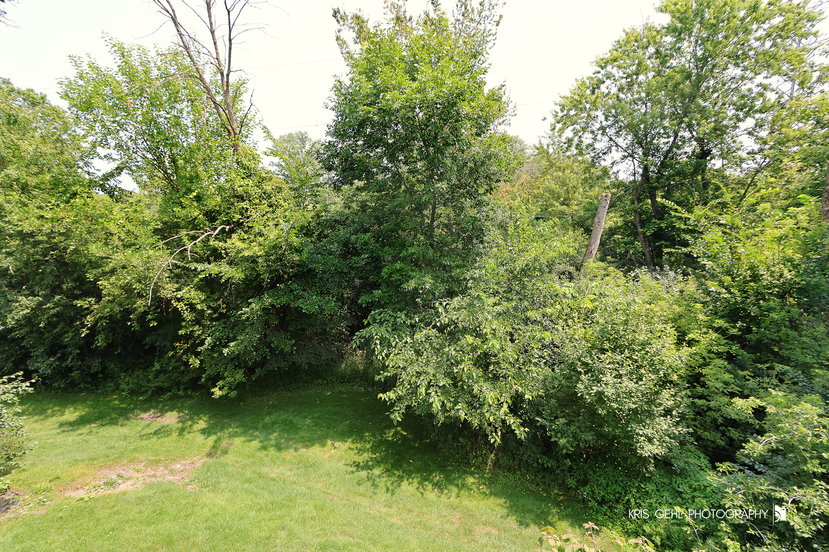 1277 Queen Ann Lane Property Photo 13