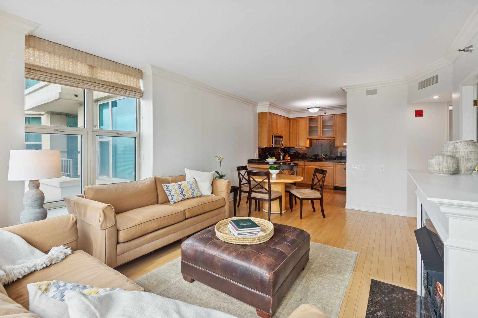 25 E Superior Street 3903 Property Photo 6