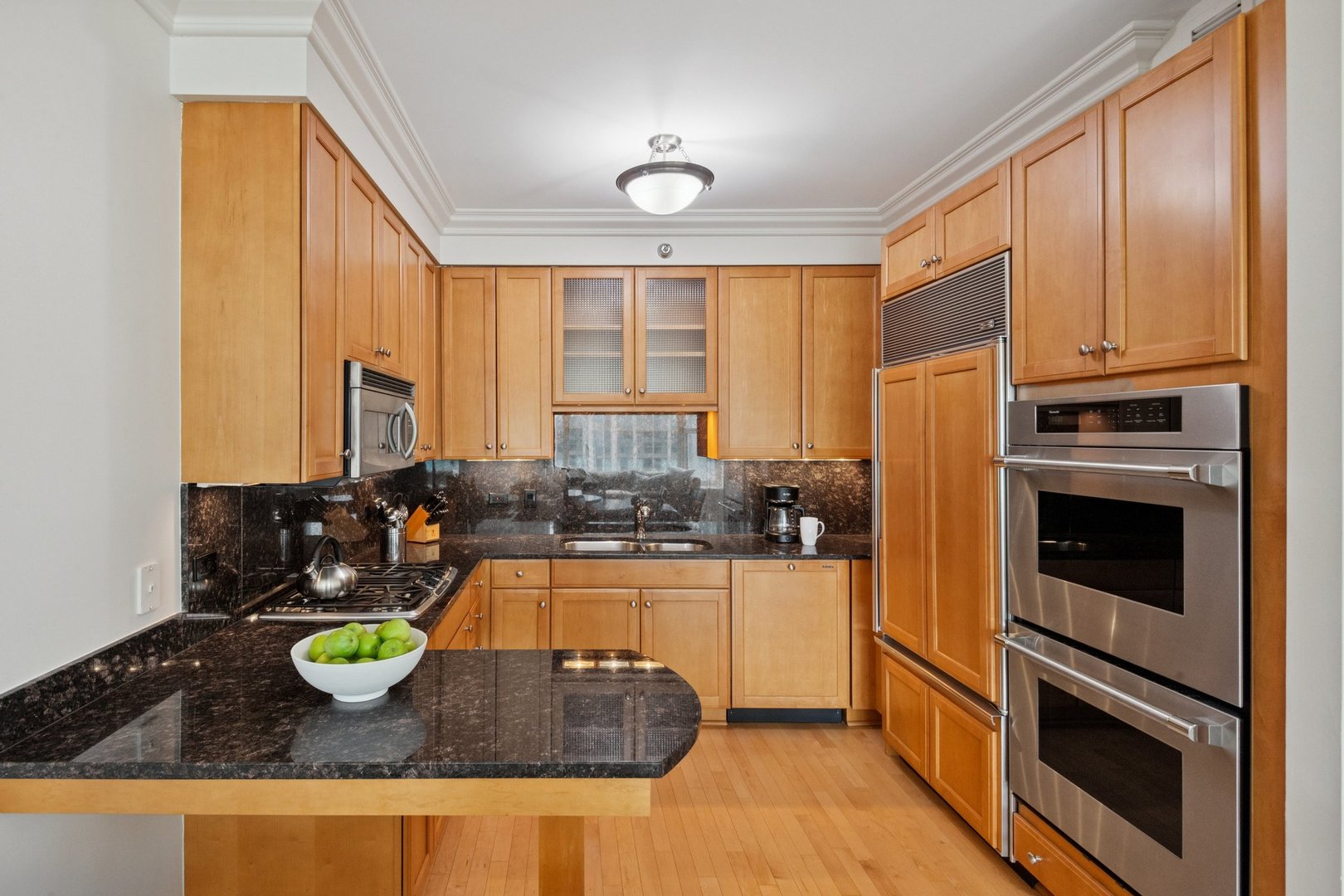 25 E Superior Street 3903 Property Photo 10