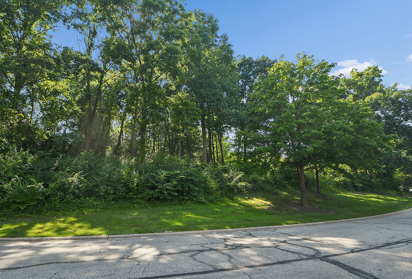 9620 Pacific Court Property Photo 14