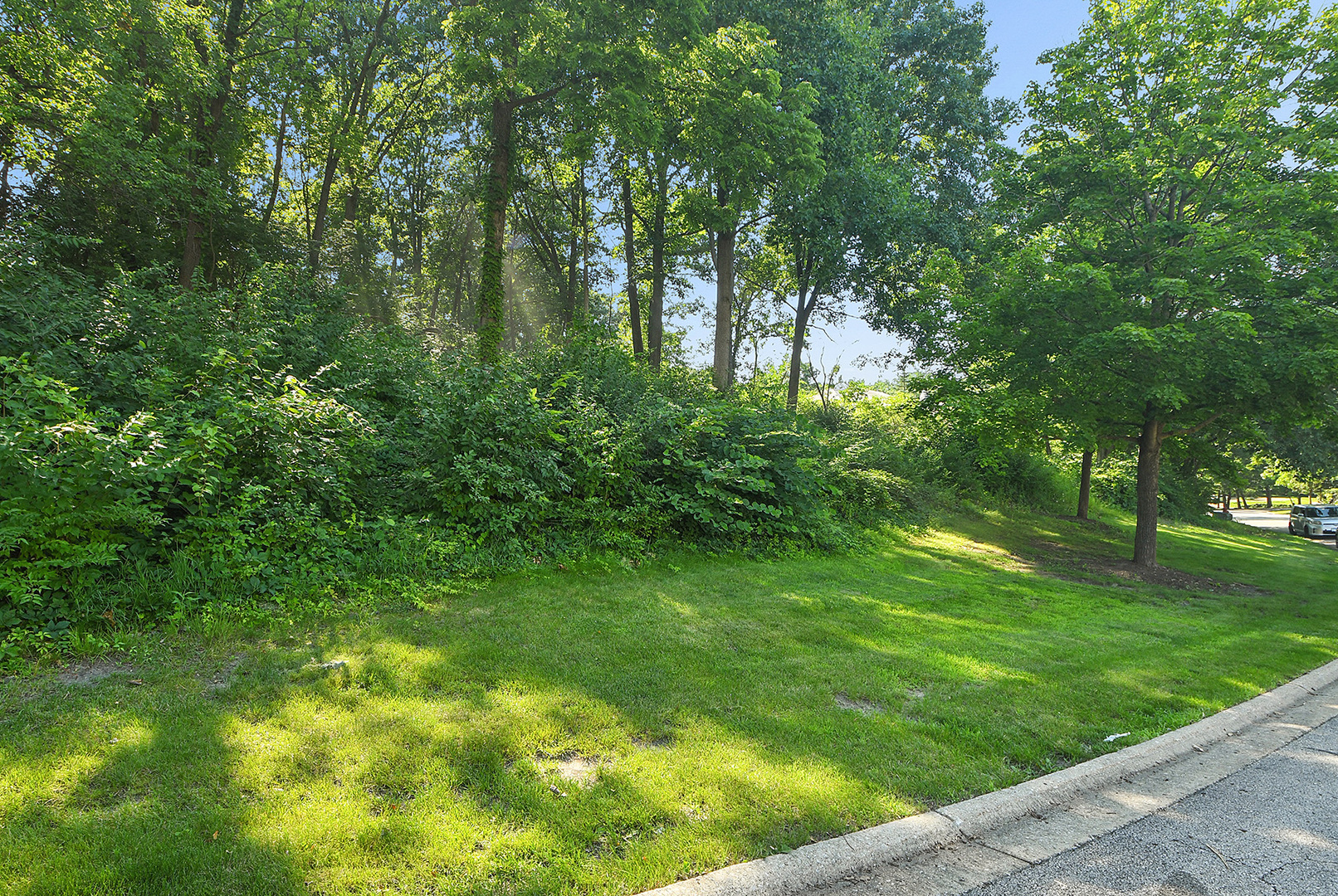 9620 Pacific Court Property Photo 18