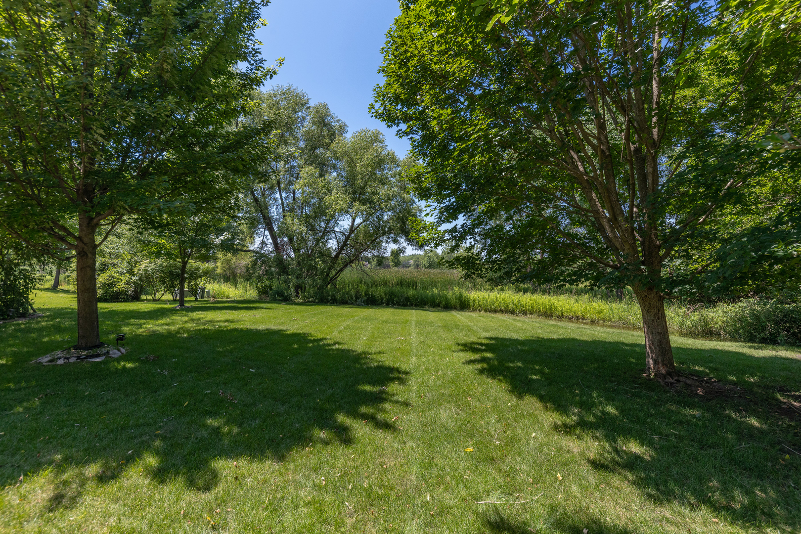1310 Hamlin Avenue Property Photo 27