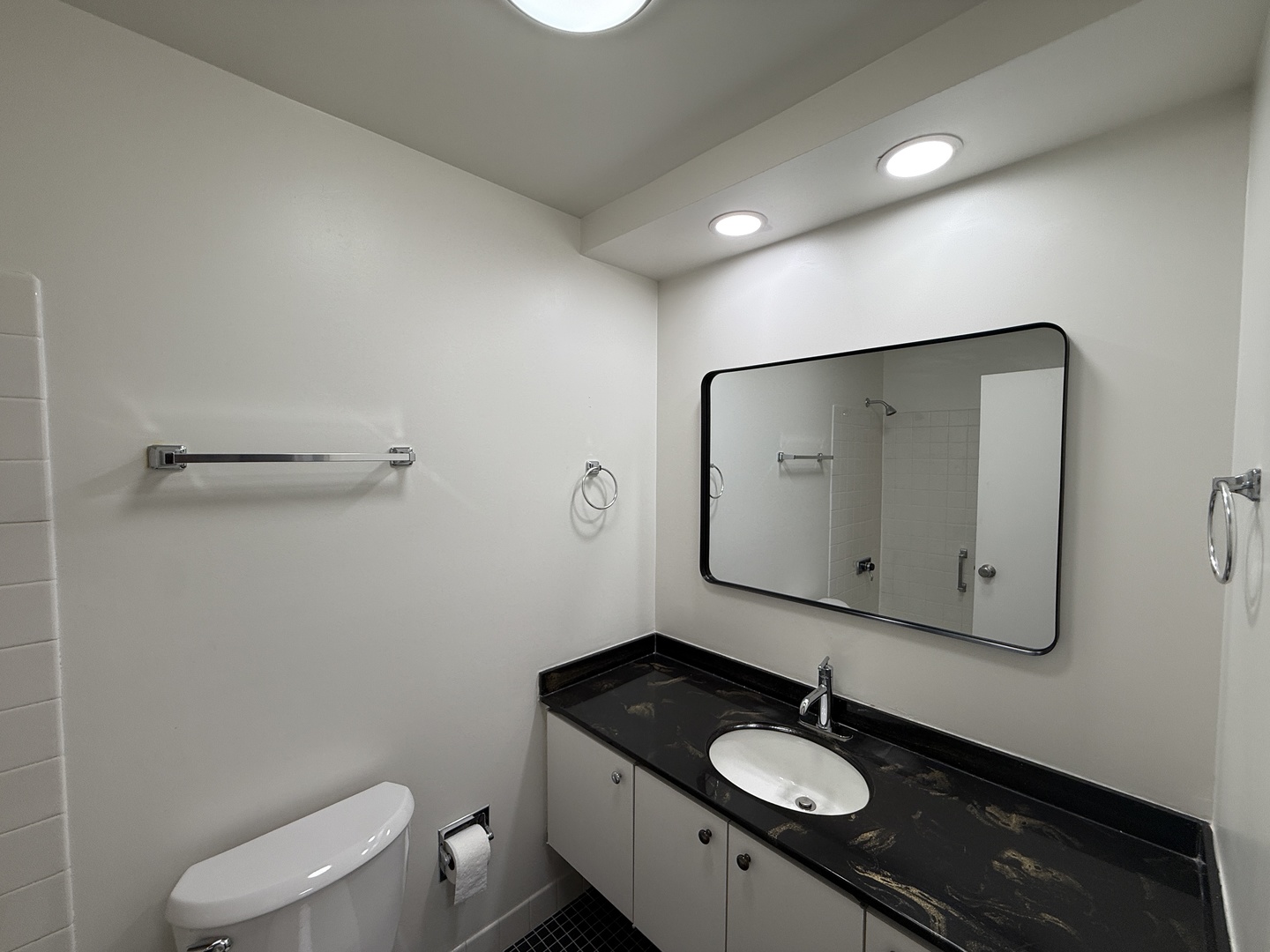 155 N Harbor Drive 1710 Property Photo 9
