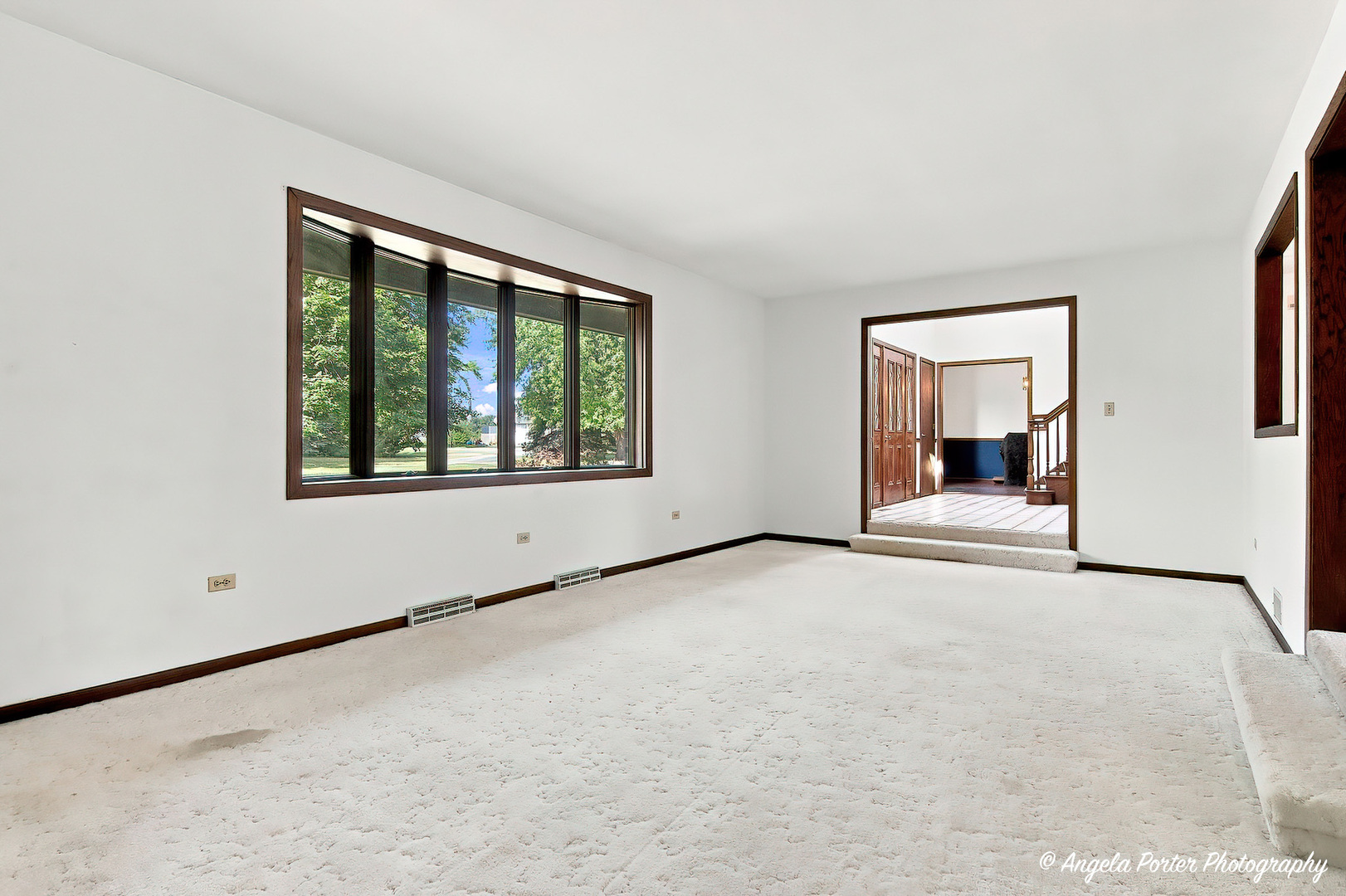 33481 N Christa Drive Property Photo 8