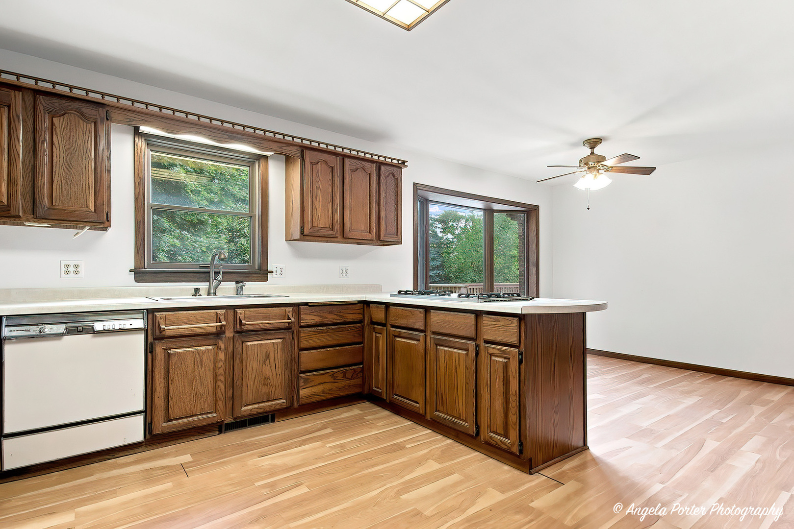 33481 N Christa Drive Property Photo 20