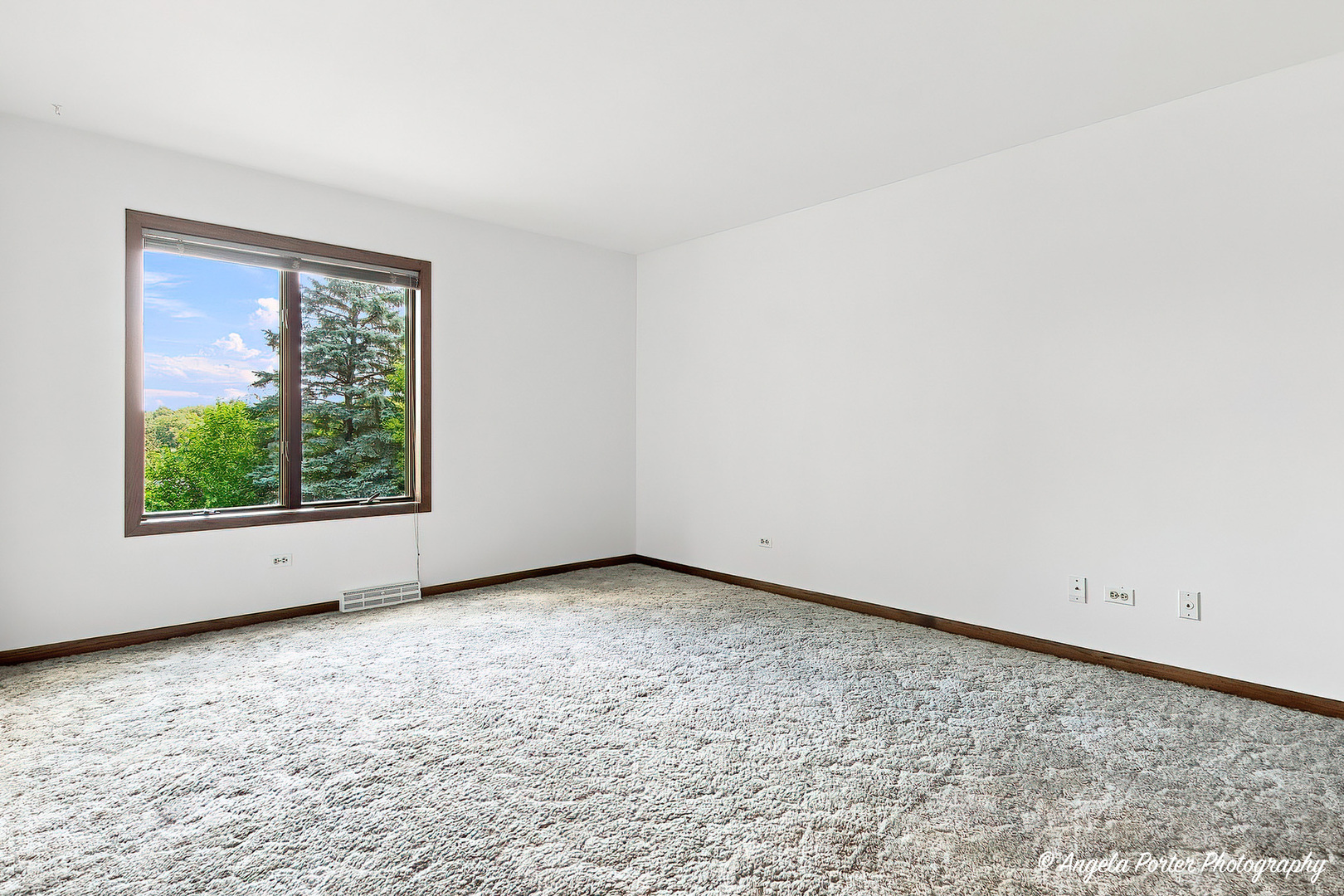 33481 N Christa Drive Property Photo 35
