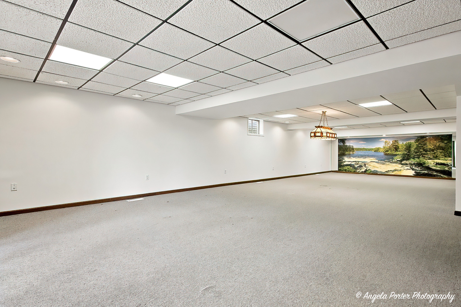 33481 N Christa Drive Property Photo 37