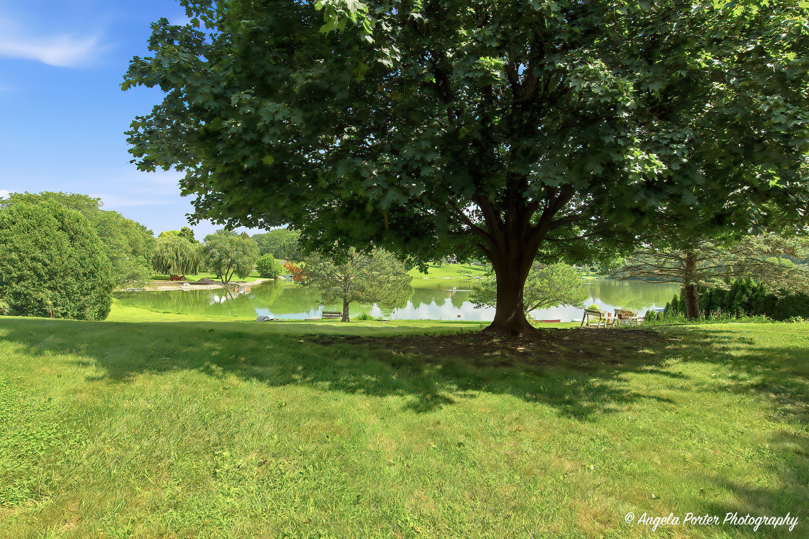 33481 N Christa Drive Property Photo 44