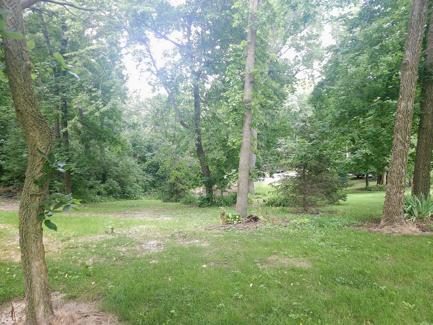 133 Fieldstone Lane Property Photo 33