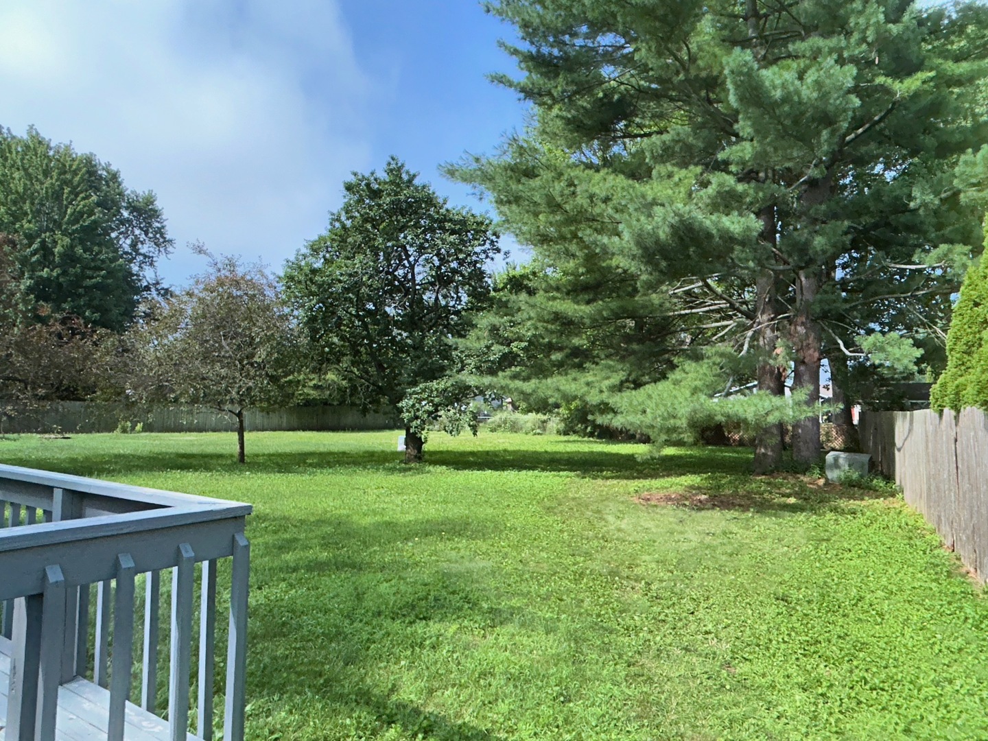 1085 Mallard Drive Property Photo 5