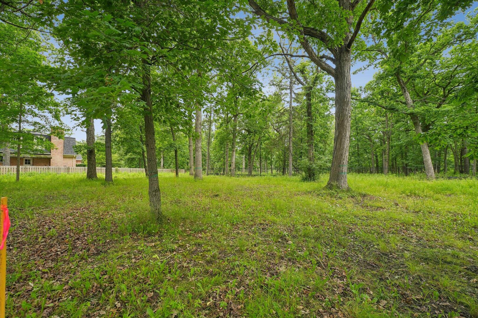 398 Forest Edge Drive Property Photo 4