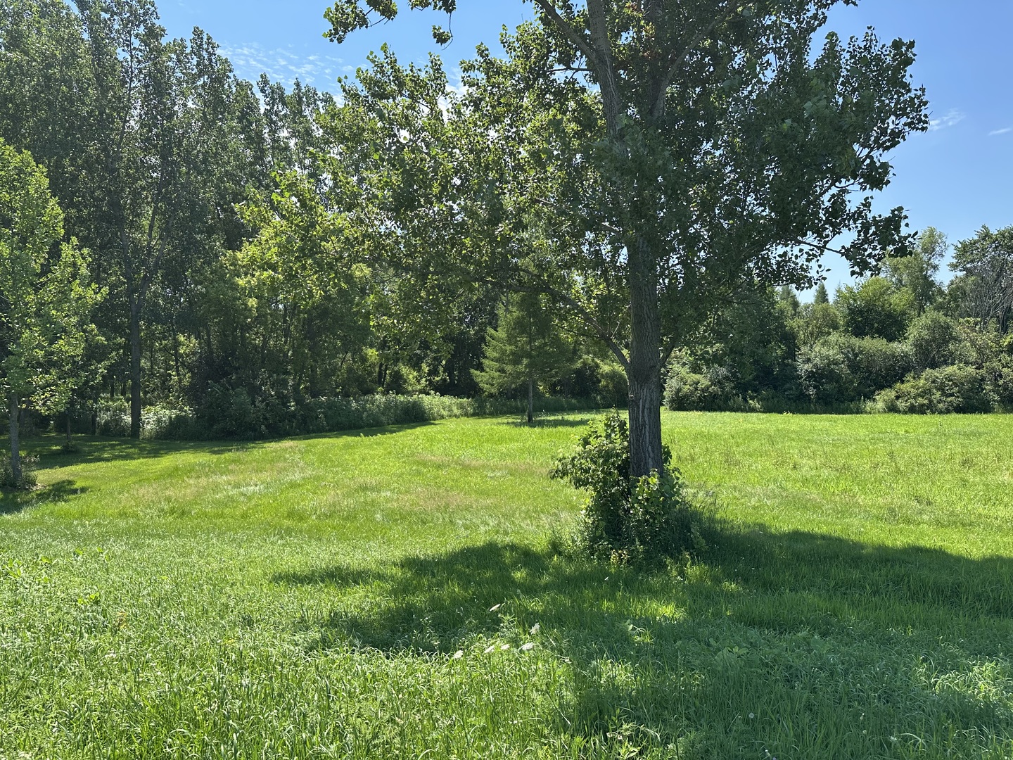17310 Lincoln Road Property Photo 42