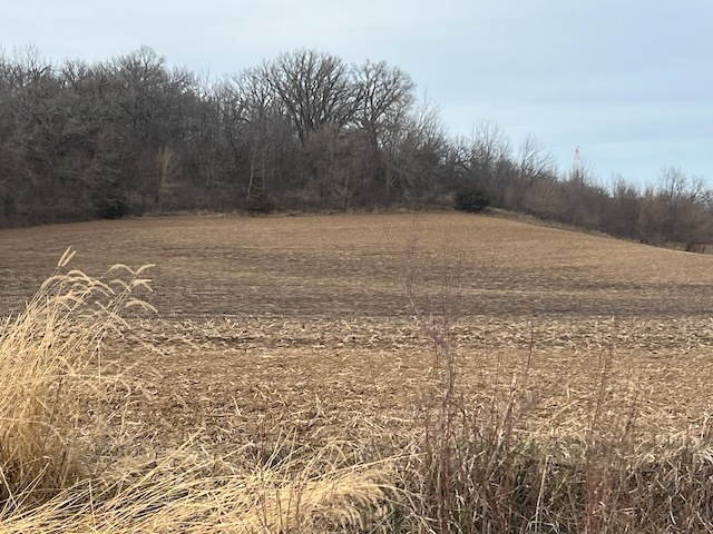 0 Great River Road Property Photo 3