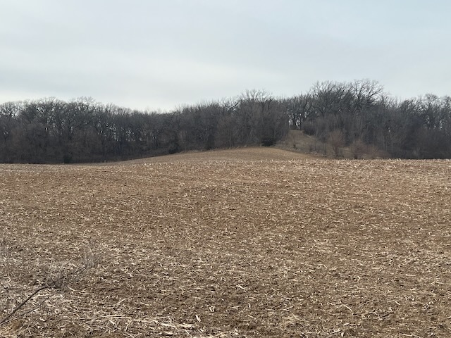 0 Great River Road Property Photo 5