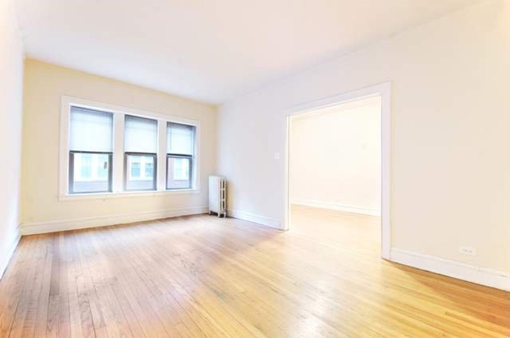 1335 W Touhy Avenue 3n Property Photo 2