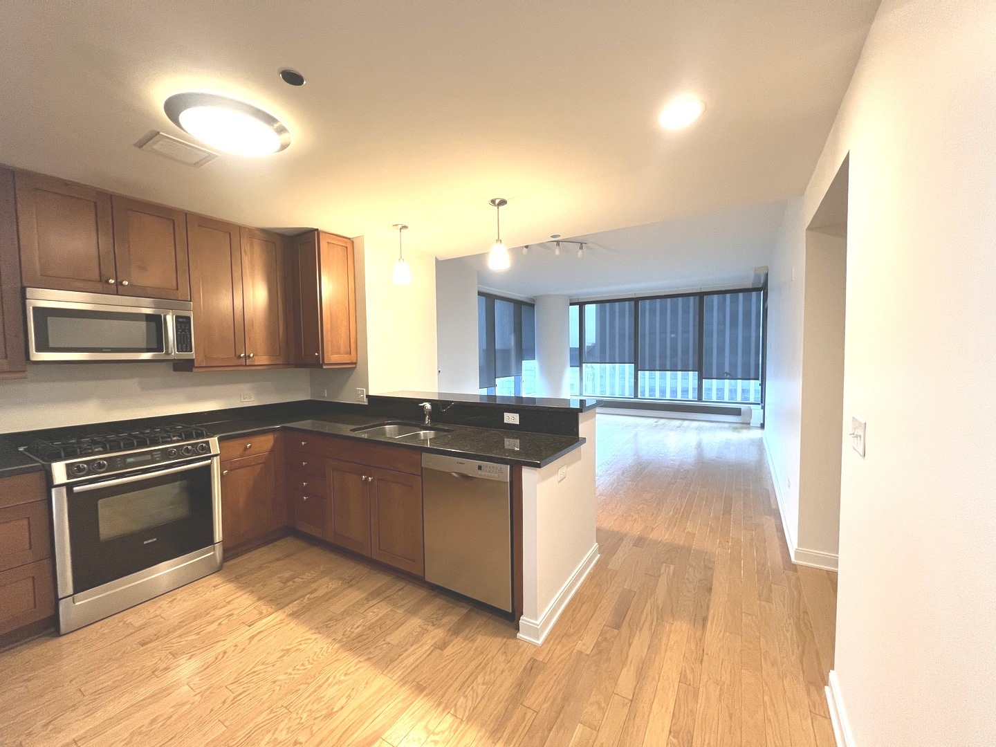 60 E Monroe Street 2604 Property Photo 2