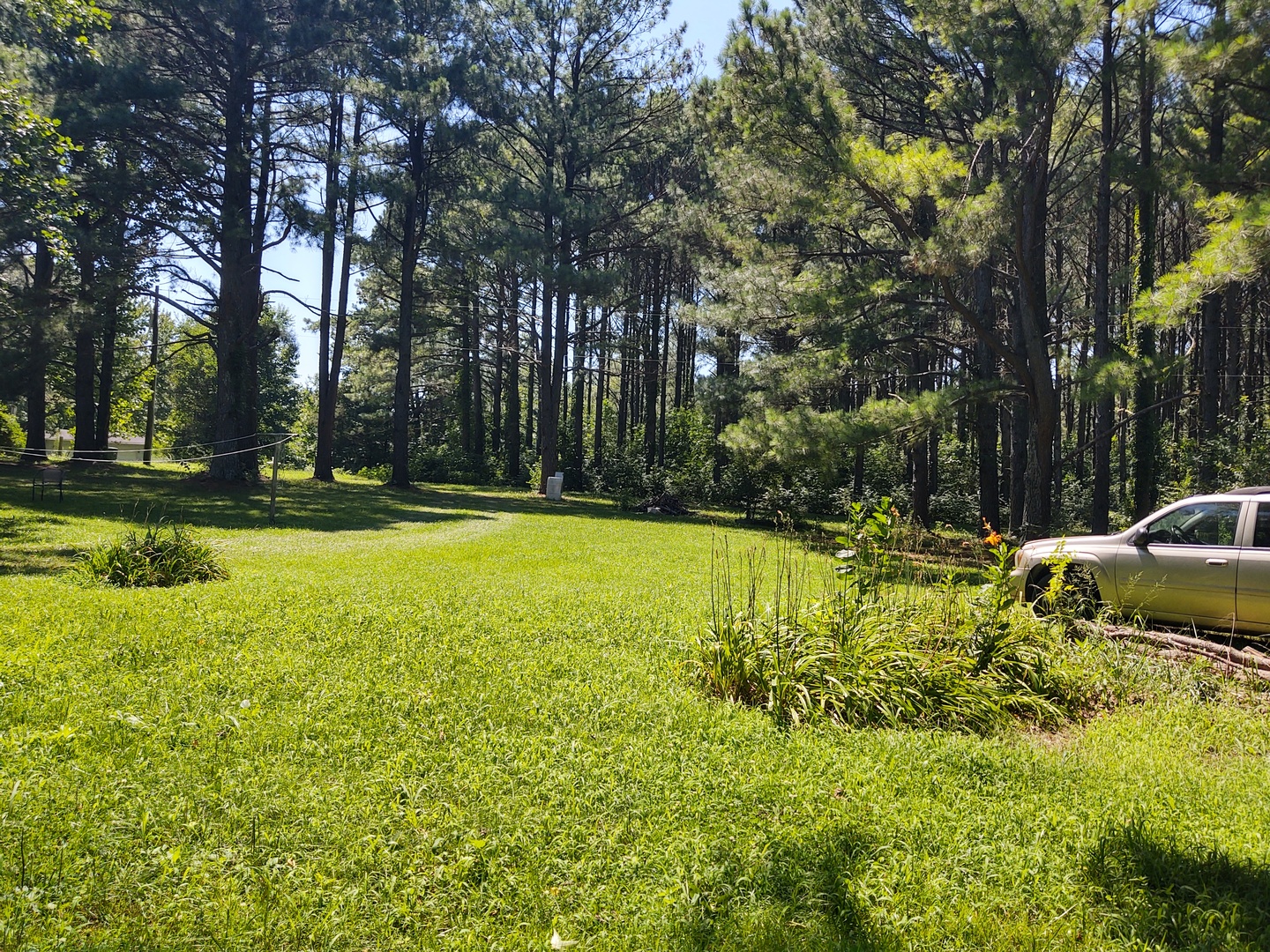 200 Caraway Lane Property Photo 7
