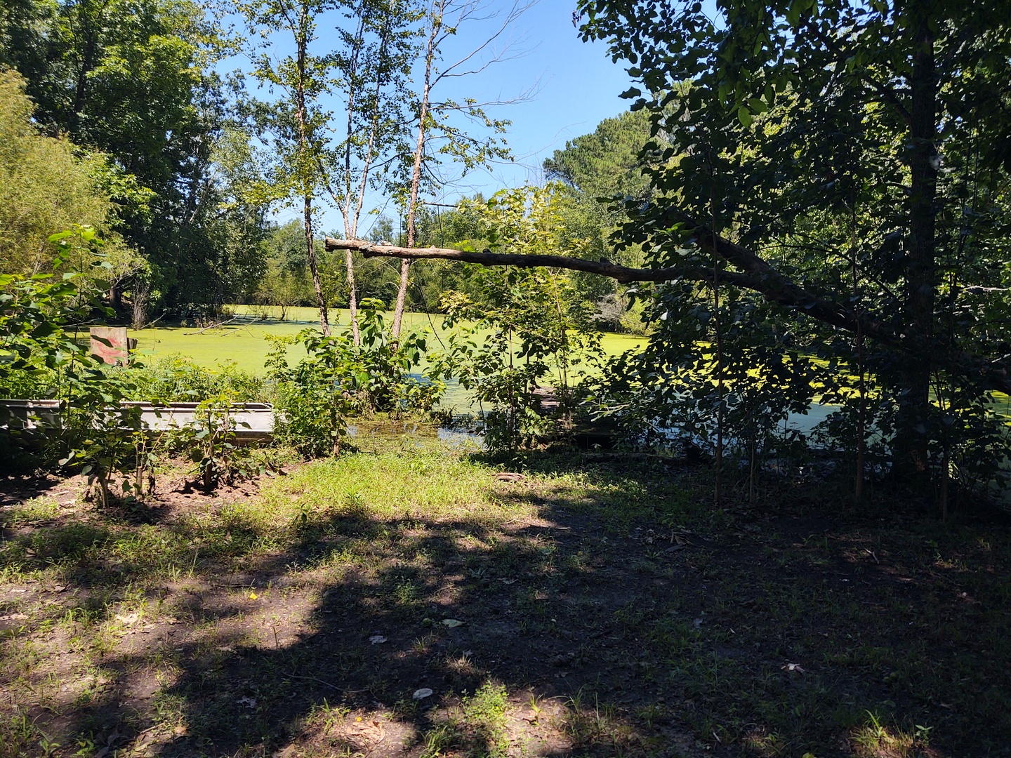 200 Caraway Lane Property Photo 9