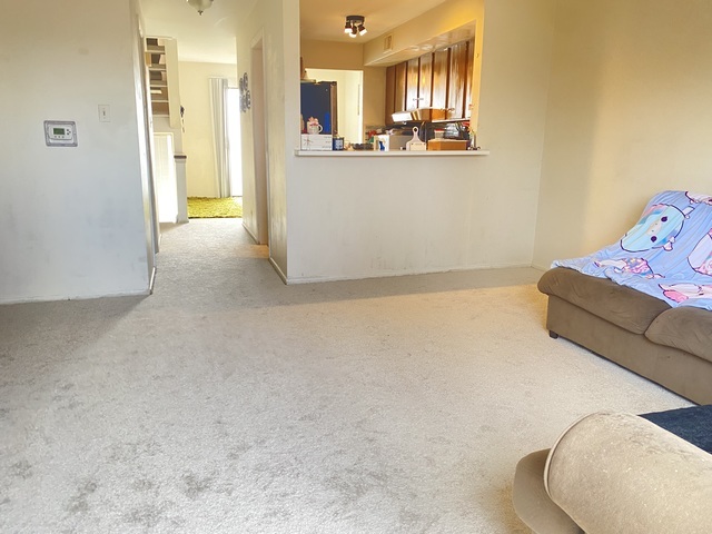 1620 Waxwing Court Property Photo 5