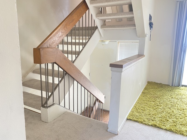 1620 Waxwing Court Property Photo 23
