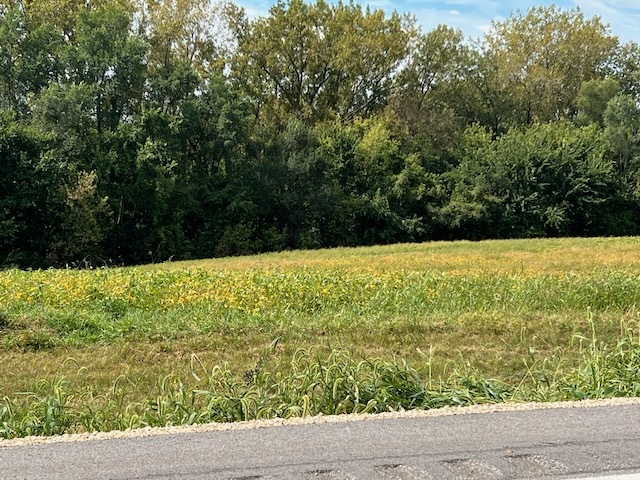 00 Wells Ferry Road Property Photo 3