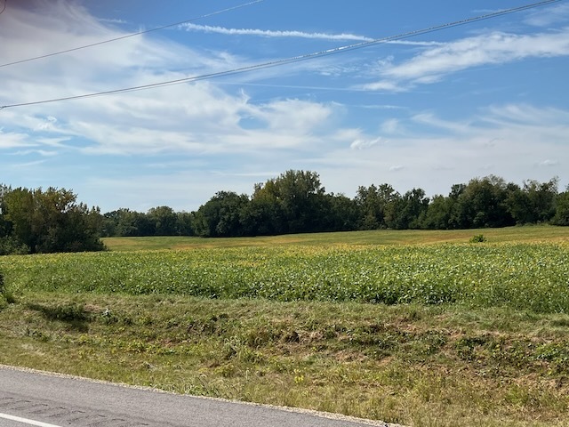 00 Wells Ferry Road Property Photo 4