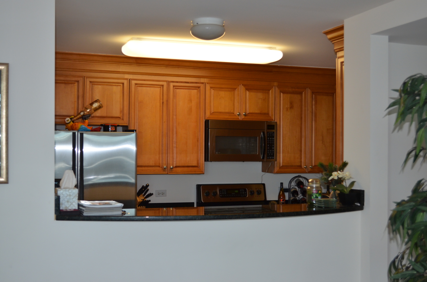 345 N Lasalle Street 4803 Property Photo 7