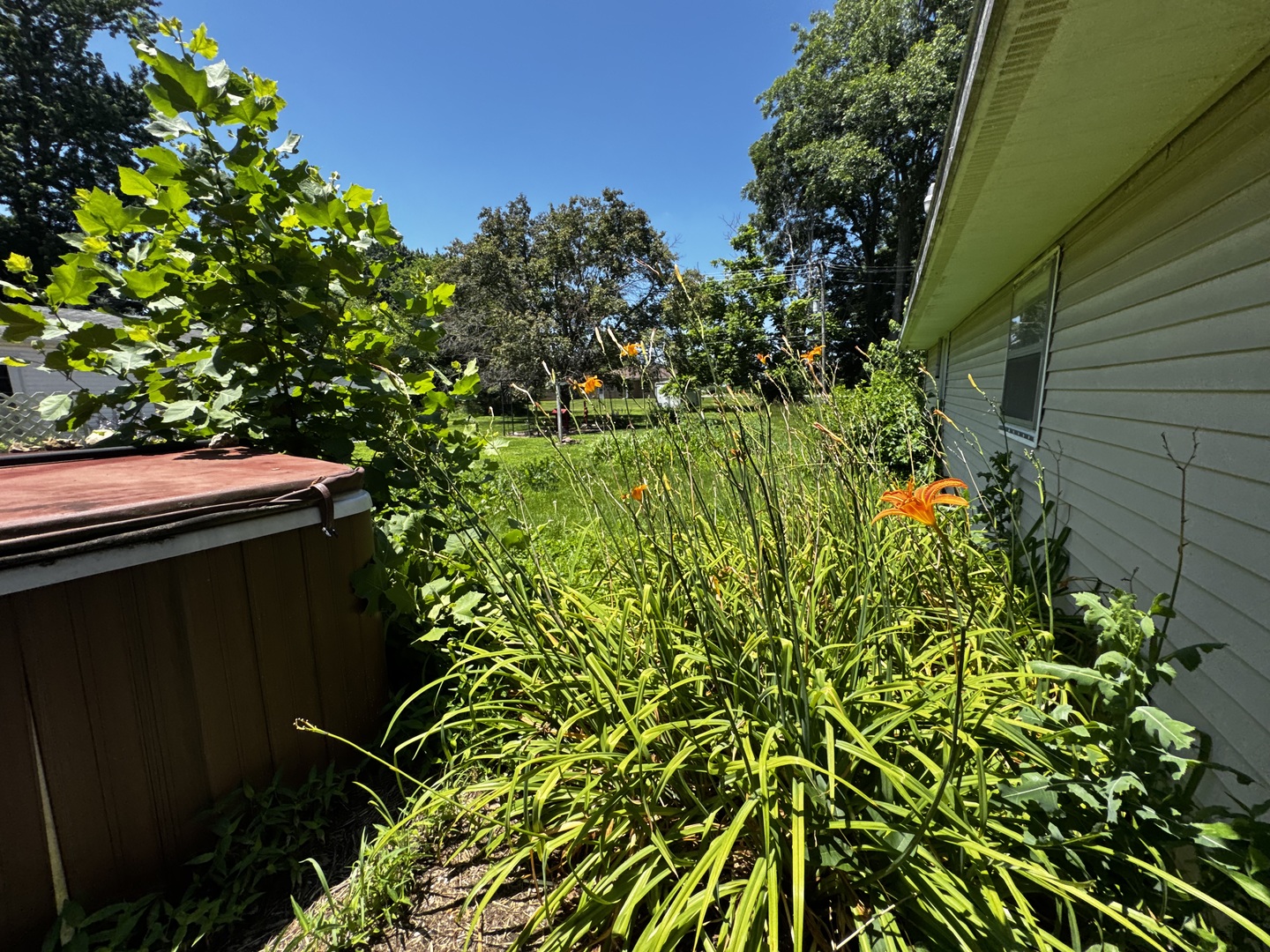 1175 N Jackson Street Property Photo 4