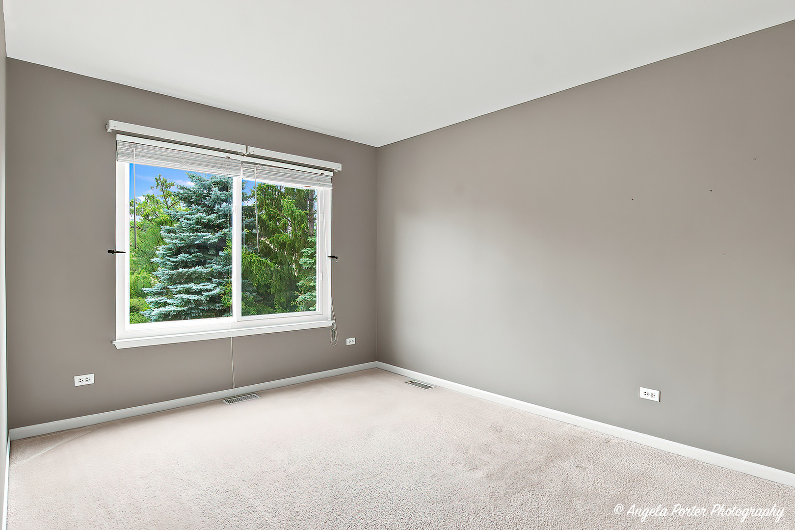 331 Hampton Court Property Photo 32