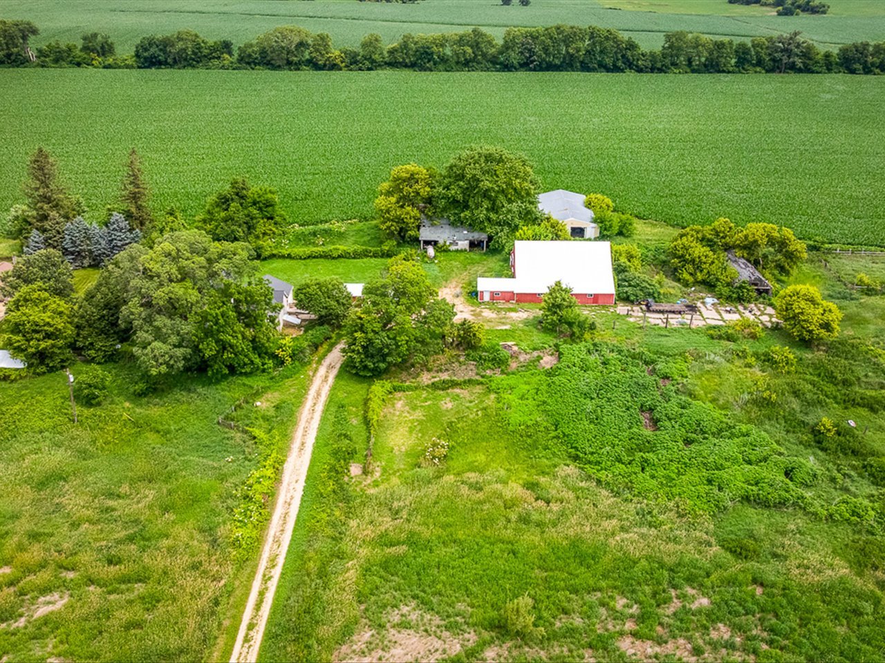 9836 E Maize Road Property Photo 46