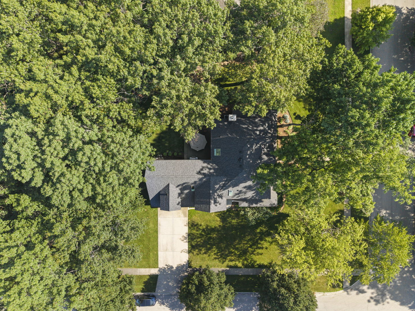 443 Timber Ridge Drive Property Photo 43