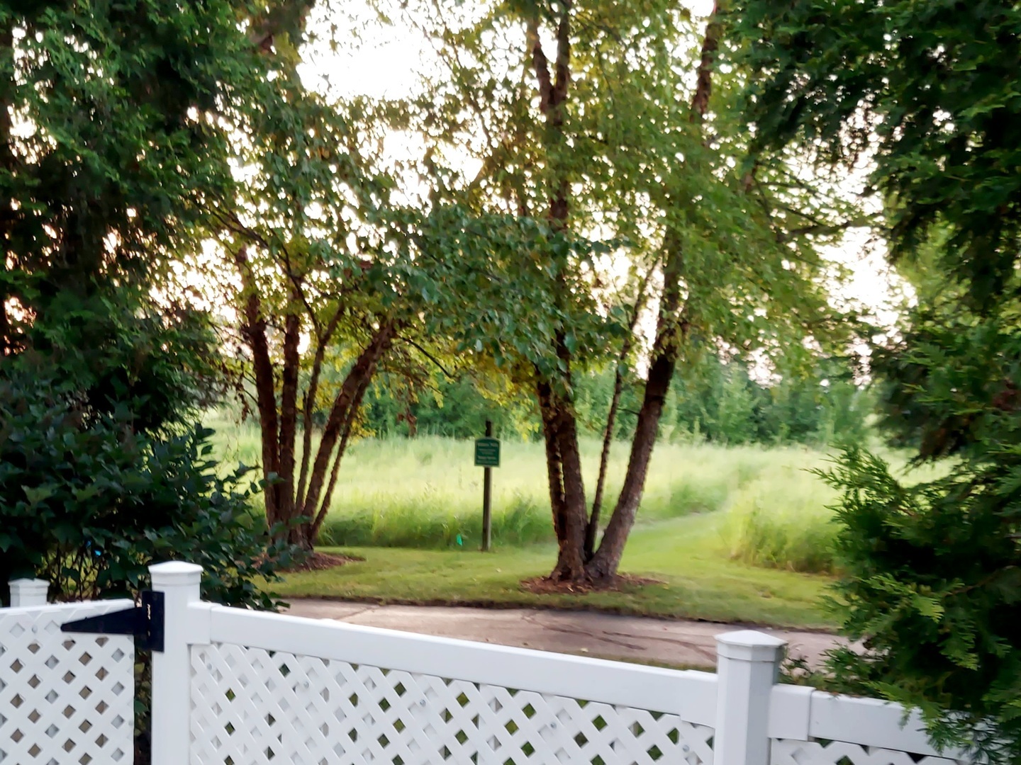 1526 Benzie Circle Property Photo 27