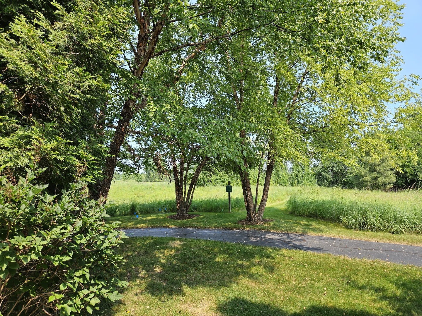 1526 Benzie Circle Property Photo 29