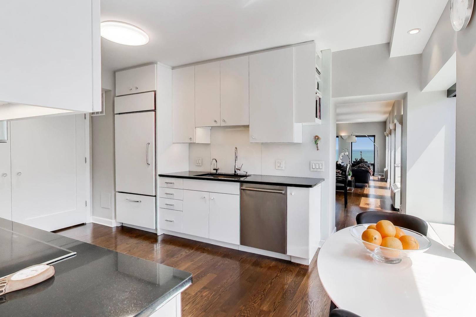 1100 N Lake Shore Drive 27b Property Photo 19