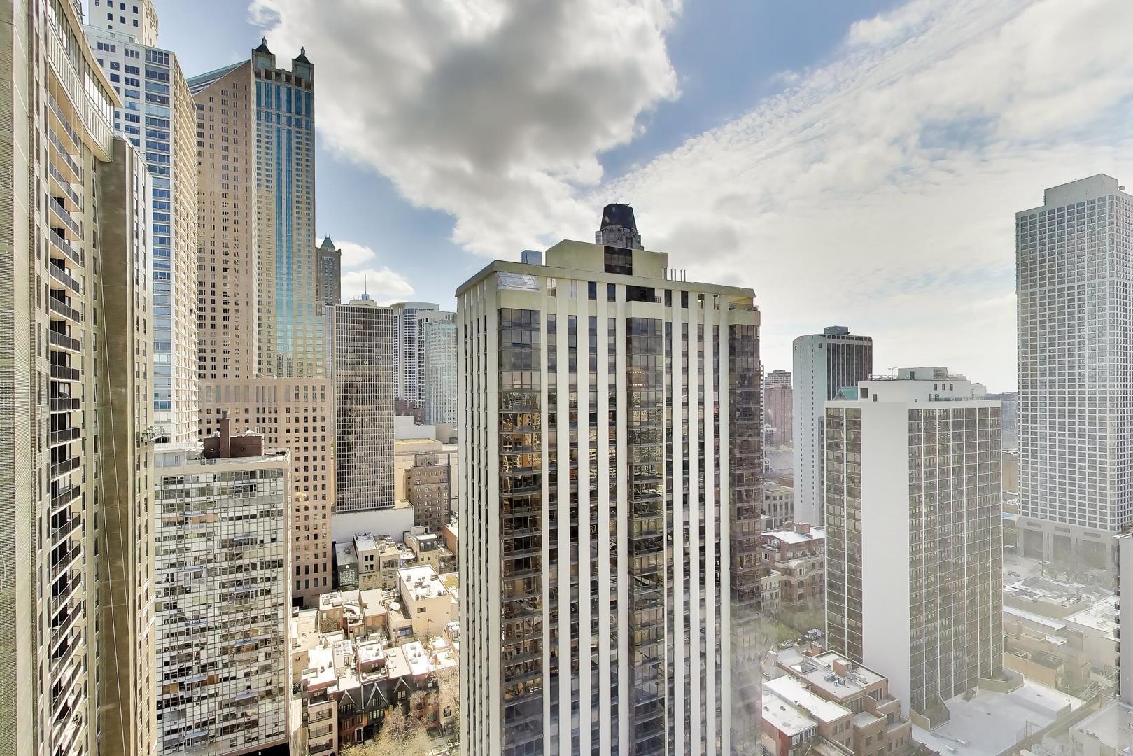 1100 N Lake Shore Drive 27b Property Photo 23