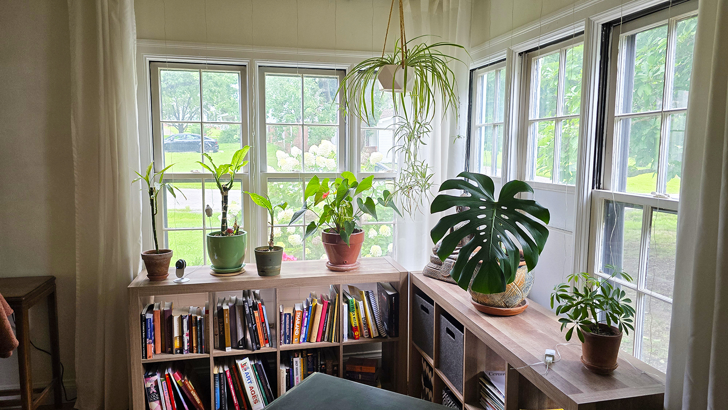 725 Magnolia Avenue Property Photo 23