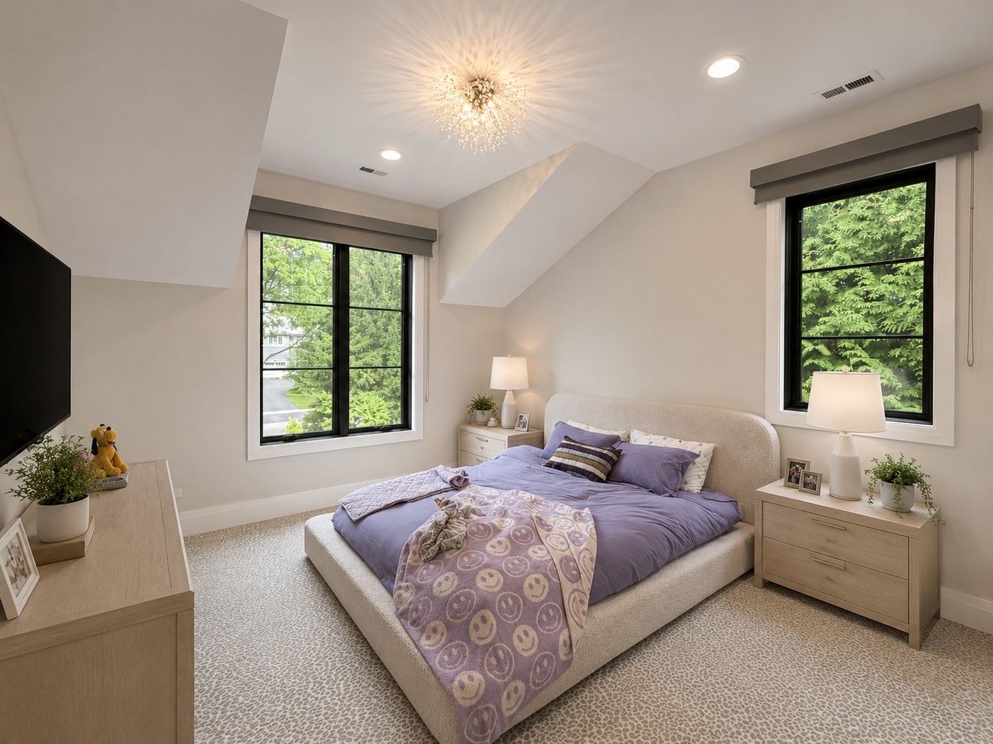 12702447 Property Photo 41