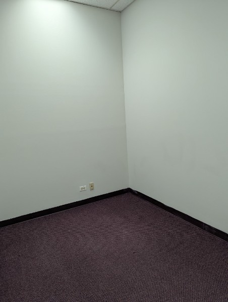 463 N Roselle Road Property Photo 8