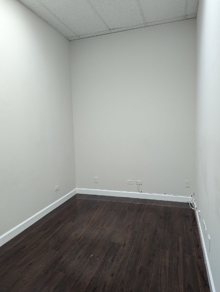 463 N Roselle Road Property Photo 11