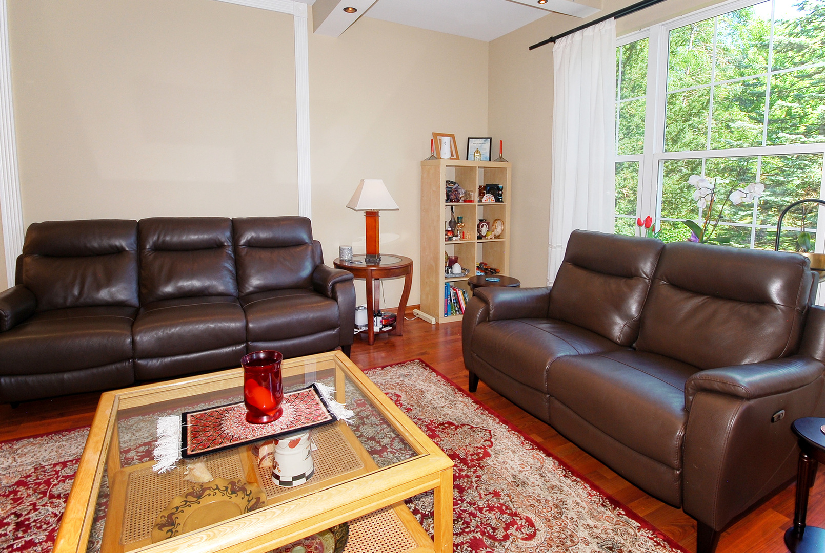 383 Shadow Creek Drive Property Photo 3