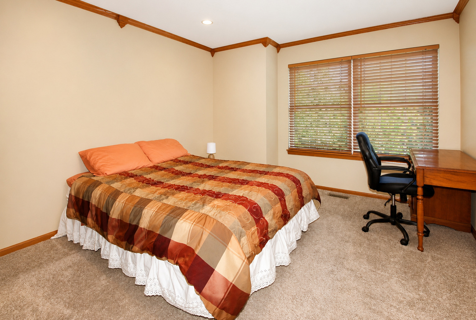 383 Shadow Creek Drive Property Photo 13