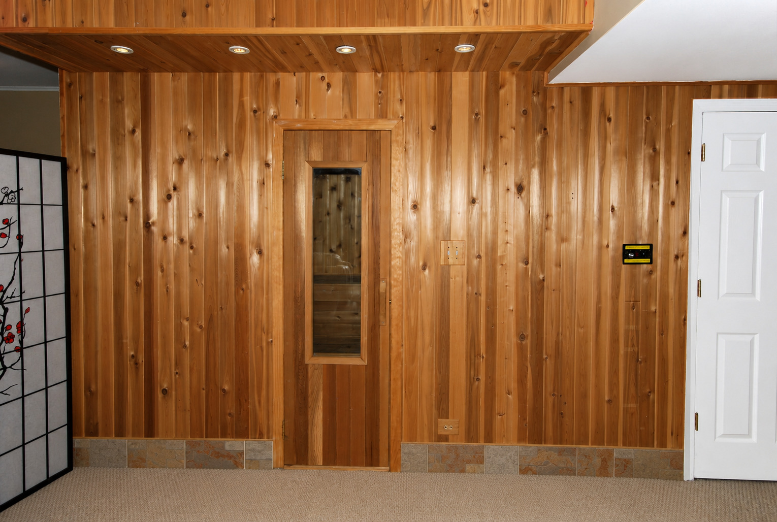 383 Shadow Creek Drive Property Photo 18