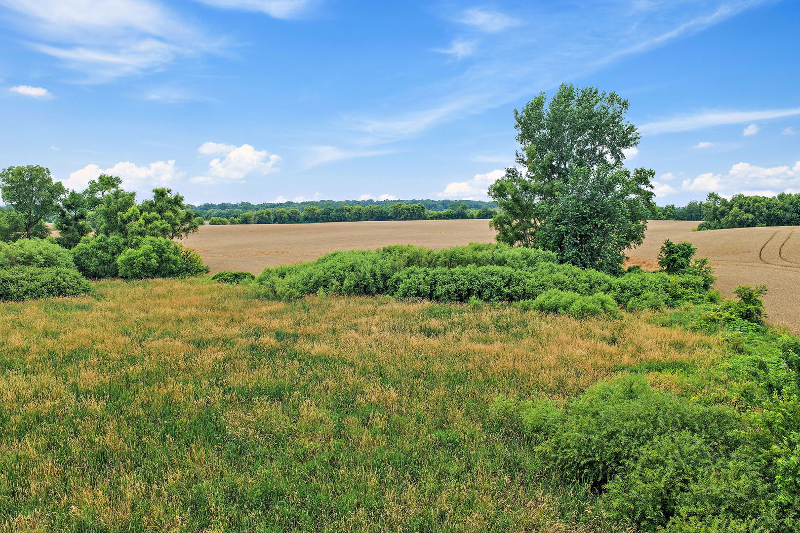 1365 Pheasant Trail Property Photo 43