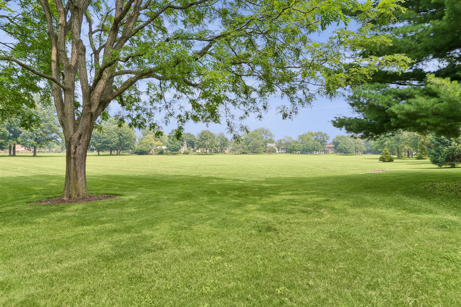 1539 Foxhill Road Property Photo 36