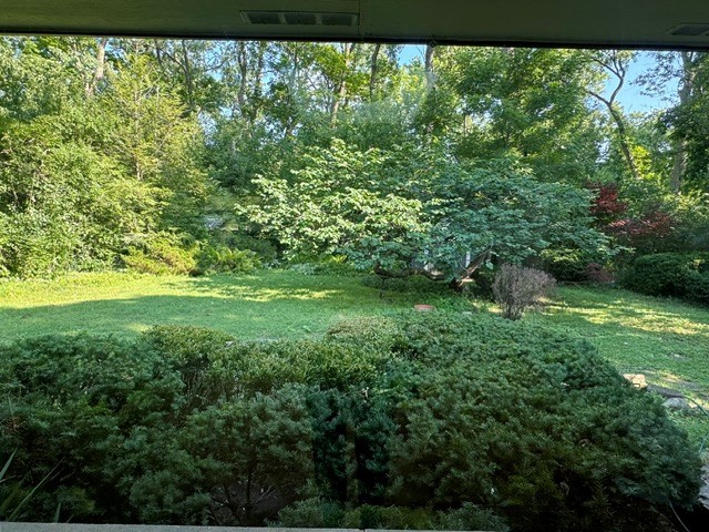 1441 Sequoia Trail Property Photo 23