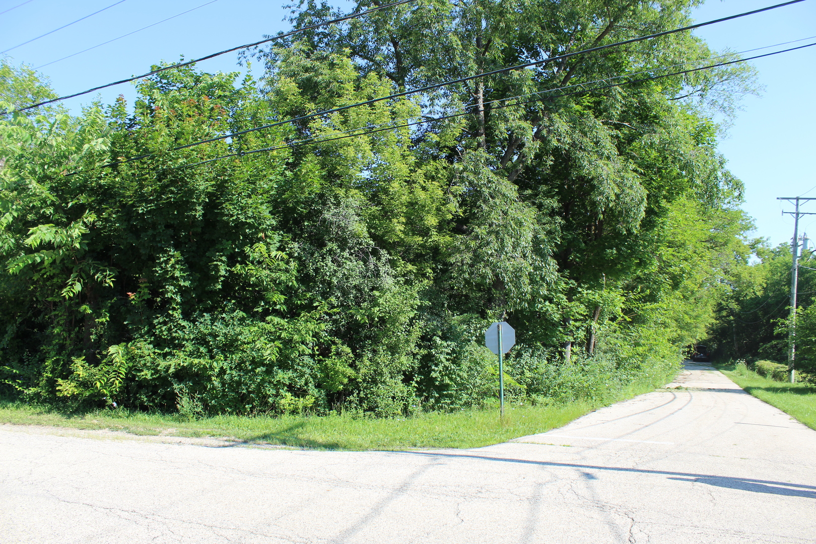 31918 Hillside Drive Property Photo 1