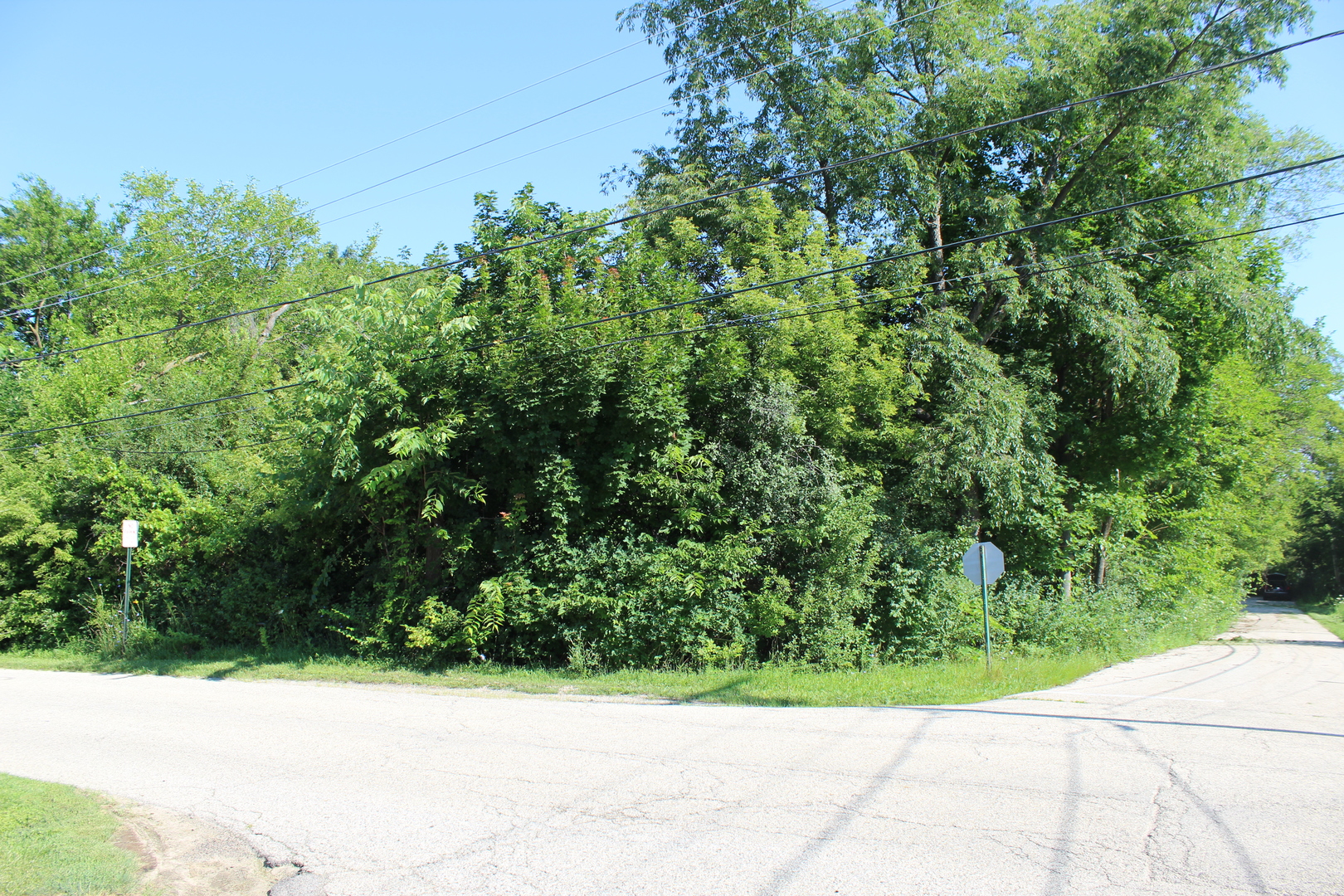 31918 Hillside Drive Property Photo 4