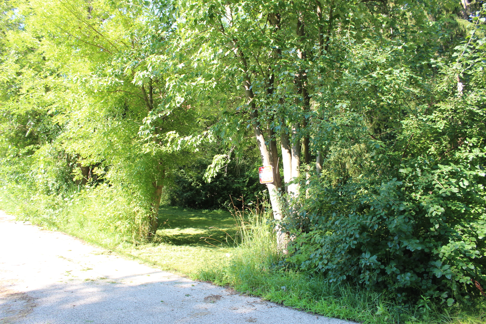 31918 Hillside Drive Property Photo 5