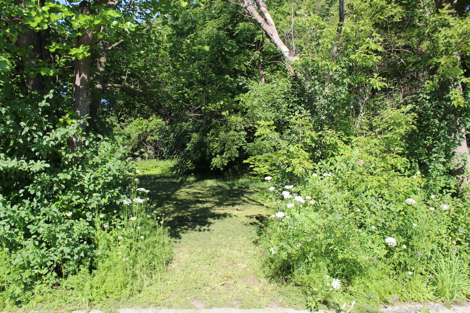 31918 Hillside Drive Property Photo 6